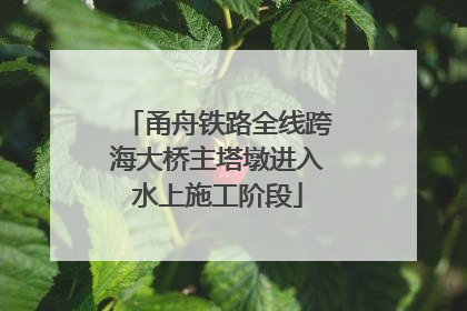 甬舟铁路全线跨海大桥主塔墩进入水上施工阶段