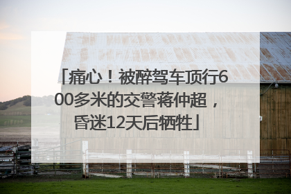 痛心！被醉驾车顶行600多米的交警蒋仲超，昏迷12天后牺牲