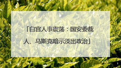 白宫人事震荡：国安委裁人、马斯克暗示淡出政治