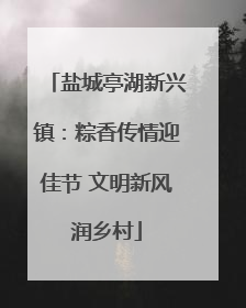盐城亭湖新兴镇：粽香传情迎佳节 文明新风润乡村
