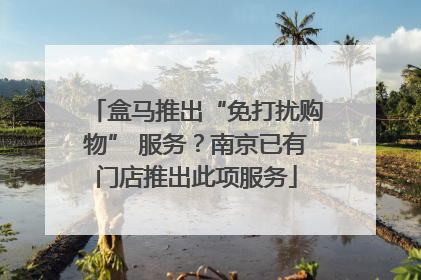 盒马推出“免打扰购物” 服务？南京已有门店推出此项服务