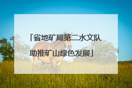 省地矿局第二水文队助推矿山绿色发展