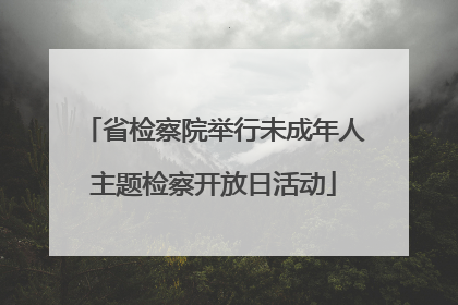 省检察院举行未成年人主题检察开放日活动