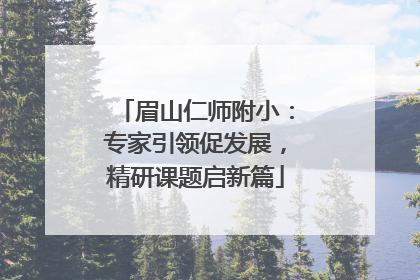 眉山仁师附小：专家引领促发展，精研课题启新篇