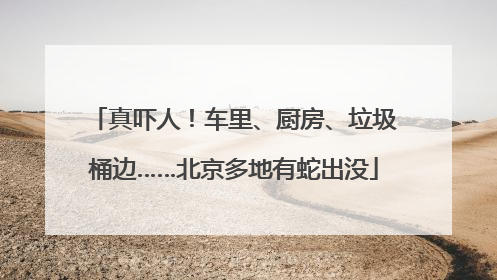 真吓人！车里、厨房、垃圾桶边……北京多地有蛇出没