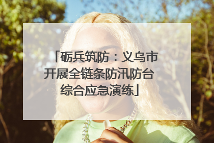 砺兵筑防：义乌市开展全链条防汛防台综合应急演练