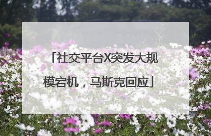 社交平台X突发大规模宕机，马斯克回应