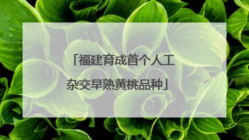福建育成首个人工杂交早熟黄桃品种
