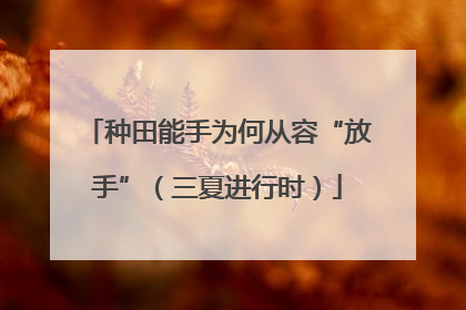 种田能手为何从容“放手”（三夏进行时）