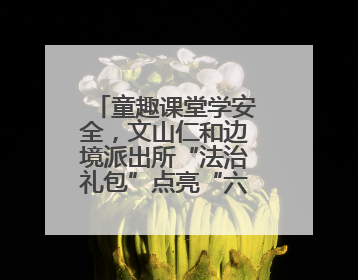 童趣课堂学安全，文山仁和边境派出所“法治礼包”点亮“六一”