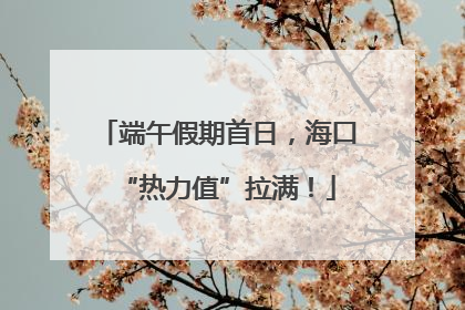 端午假期首日，海口“热力值”拉满！
