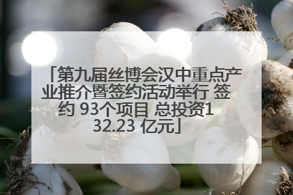 第九届丝博会汉中重点产业推介暨签约活动举行 签约 93个项目 总投资132.23 亿元