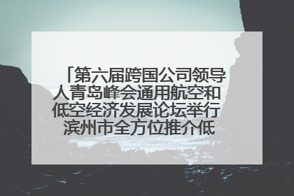 第六届跨国公司领导人青岛峰会通用航空和低空经济发展论坛举行 滨州市全方位推介低空经济发展优势