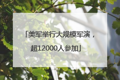 美军举行大规模军演,超12000人参加