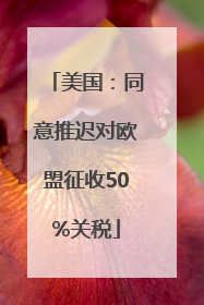 美国：同意推迟对欧盟征收50%关税