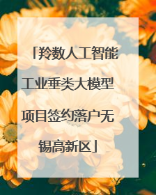 羚数人工智能工业垂类大模型项目签约落户无锡高新区