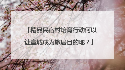 精品民宿村培育行动何以让宣城成为旅居目的地？