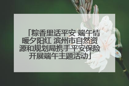 粽香里话平安 端午情暖夕阳红 滨州市自然资源和规划局携手平安保险开展端午主题活动