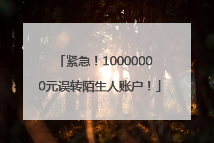 紧急！10000000元误转陌生人账户！