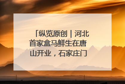 纵览原创｜河北首家盒马鲜生在唐山开业，石家庄门店预计8月开业