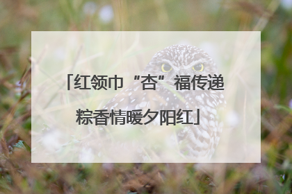 红领巾“杏”福传递 粽香情暖夕阳红