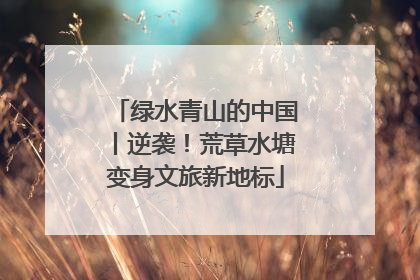 绿水青山的中国丨逆袭！荒草水塘变身文旅新地标