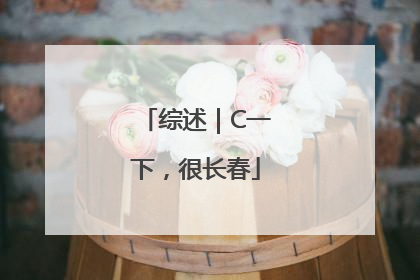 综述｜C一下，很长春