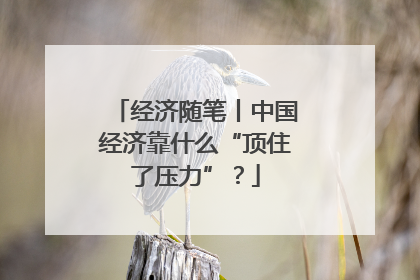 经济随笔丨中国经济靠什么“顶住了压力”？