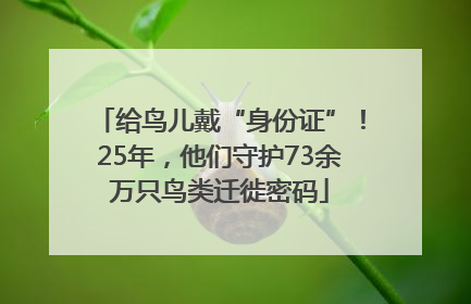 给鸟儿戴“身份证”！25年，他们守护73余万只鸟类迁徙密码