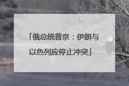 俄总统普京：伊朗与以色列应停止冲突