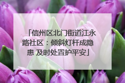 信州区北门街道江永路社区：倾斜灯杆成隐患 及时处置护平安