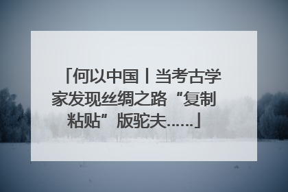 何以中国丨当考古学家发现丝绸之路“复制粘贴”版驼夫……