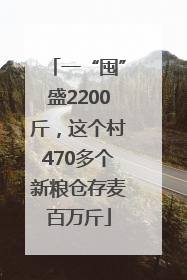 一“囤”盛2200斤，这个村470多个新粮仓存麦百万斤