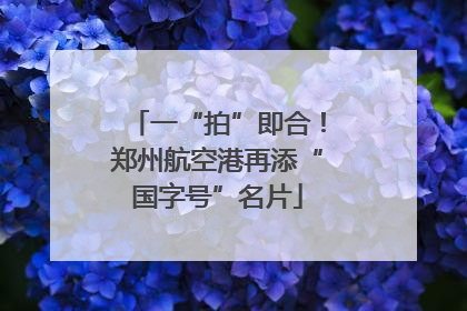 一“拍”即合！郑州航空港再添“国字号”名片
