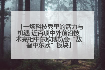 一场科技秀里的活力与机遇 近百项中外前沿技术亮相中东欧博览会“数智中东欧”板块