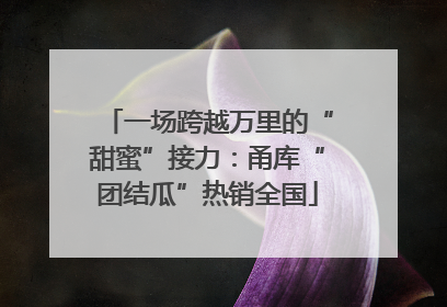 一场跨越万里的“甜蜜”接力：甬库“团结瓜”热销全国