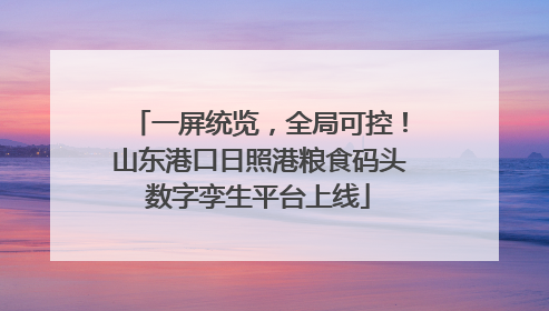 一屏统览，全局可控！山东港口日照港粮食码头数字孪生平台上线
