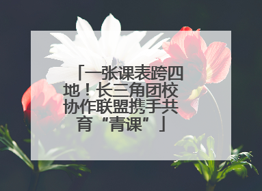 一张课表跨四地！长三角团校协作联盟携手共育“青课”