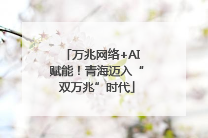 万兆网络+AI赋能！青海迈入“双万兆”时代