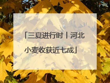 三夏进行时丨河北小麦收获近七成