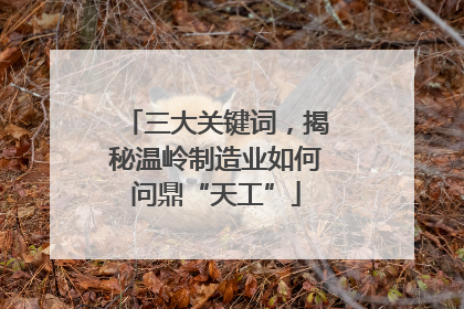 三大关键词，揭秘温岭制造业如何问鼎“天工”