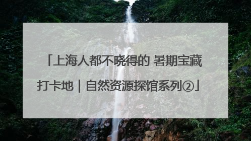 上海人都不晓得的 暑期宝藏打卡地｜自然资源探馆系列②