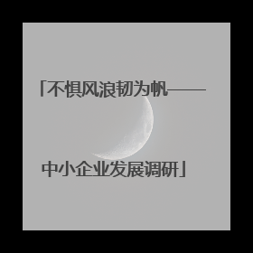 不惧风浪韧为帆——中小企业发展调研