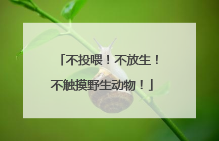 不投喂！不放生！不触摸野生动物！