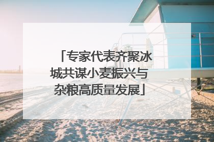 专家代表齐聚冰城共谋小麦振兴与杂粮高质量发展