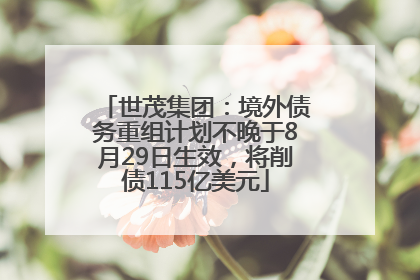 世茂集团：境外债务重组计划不晚于8月29日生效，将削债115亿美元