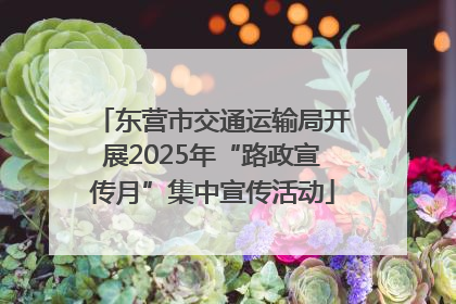 东营市交通运输局开展2025年“路政宣传月”集中宣传活动