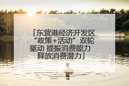 东营港经济开发区“政策+活动”双轮驱动 提振消费能力 释放消费潜力