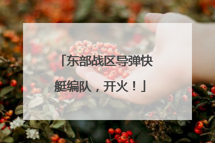东部战区导弹快艇编队，开火！