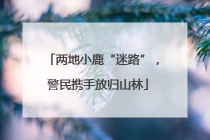 两地小鹿“迷路”，警民携手放归山林